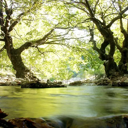 Hotel Abeliona Retreat