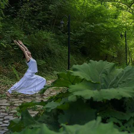 Abeliona Retreat 酒店