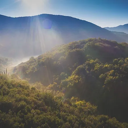 ホテル Abeliona Retreat 4*