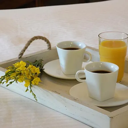 Hotel Abeliona Retreat