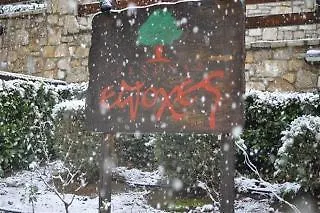 Abeliona Retreat ホテル