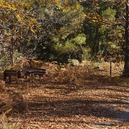 Abeliona Retreat 4* Ambeliona