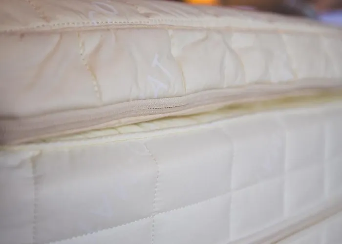 酒店 Abeliona Retreat 4*