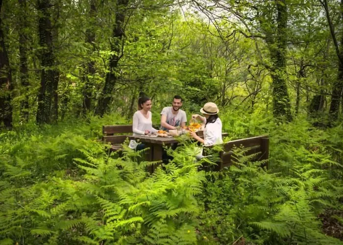 Abeliona Retreat 酒店