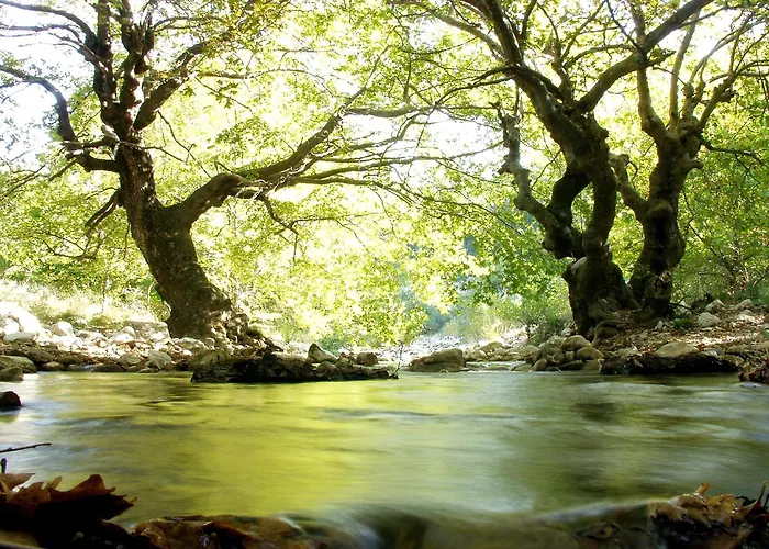Szálloda Abeliona Retreat