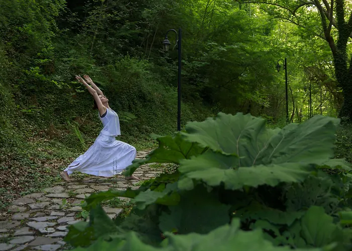 Abeliona Retreat 酒店