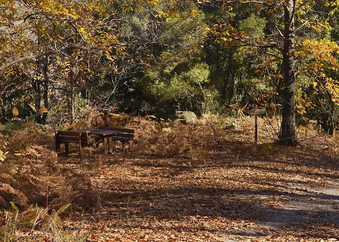 Abeliona Retreat 4* Ambeliona